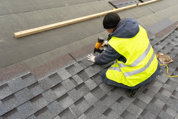 Roof Gutter Cleaning in Muse, PA