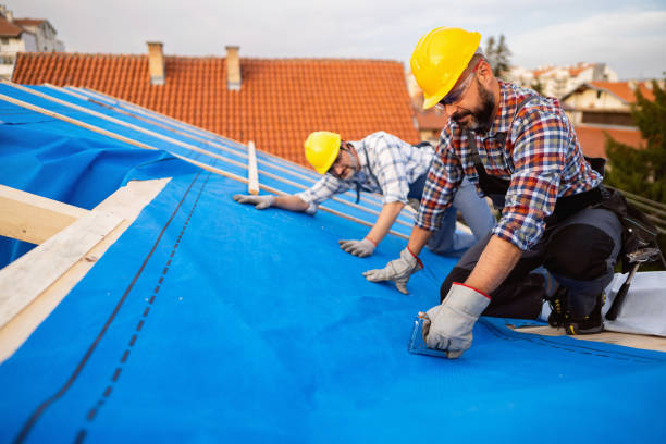 Best Storm Damage Roof Repair  in Muse, PA